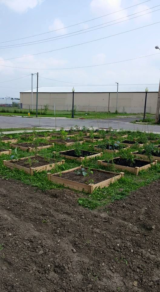 The Food Forest is going great! We are also almost completely finished planting. Thanks everyone for your support!
